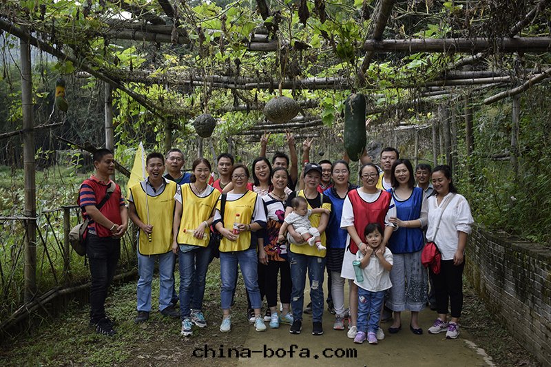 武漢幕牆(qiáng)裝(zhuāng)飾